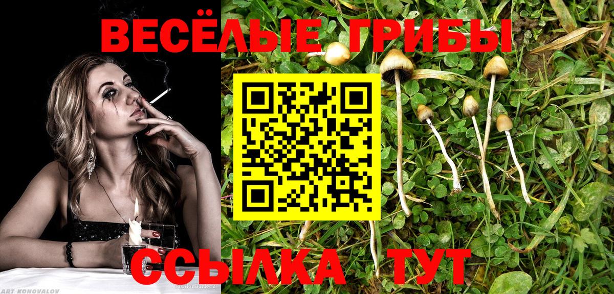 Пятигорск  Псилоцибиновые грибы Cubensis  Псилоцибиновые грибы мухоморы  что такое наркотик  Вход с VPN 