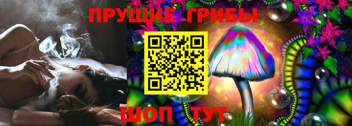 Псилоцибиновые грибы мицелий Пятигорск